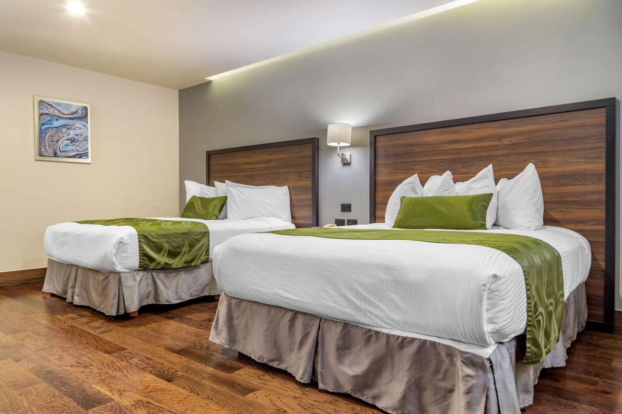 Quality Inn Chihuahua San Francisco מראה חיצוני תמונה