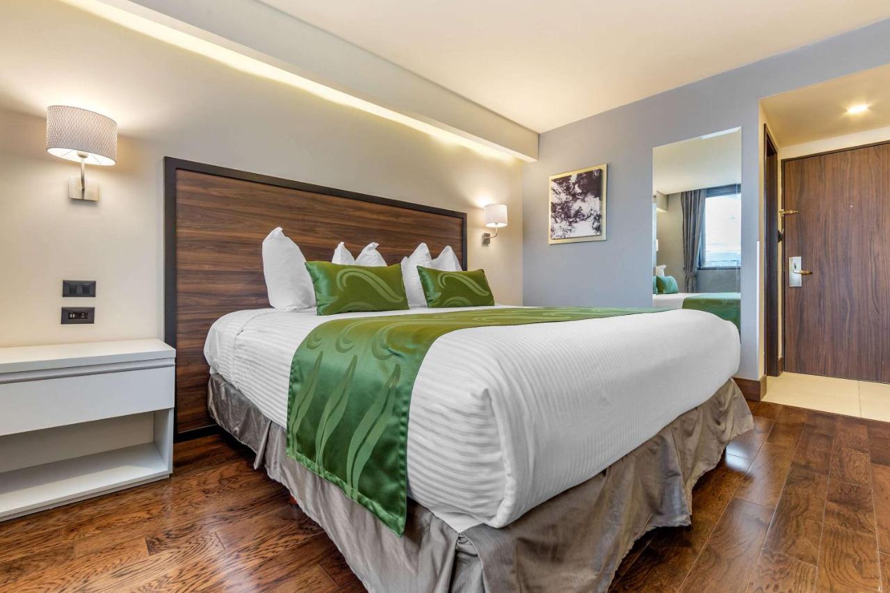 Quality Inn Chihuahua San Francisco מראה חיצוני תמונה