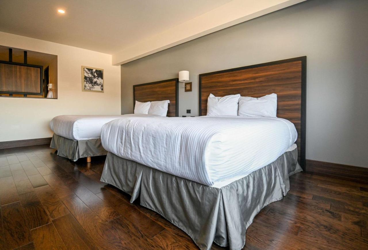 Quality Inn Chihuahua San Francisco מראה חיצוני תמונה