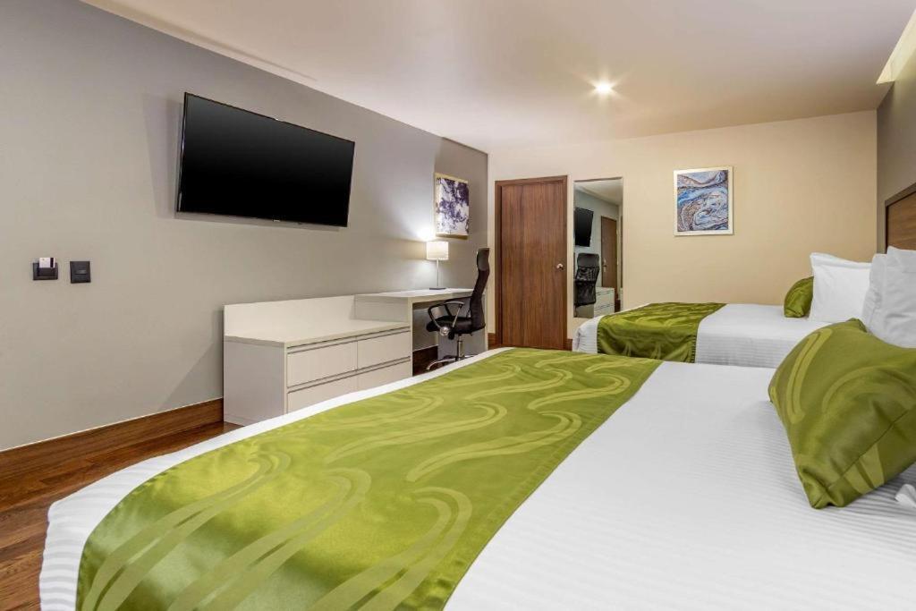 Quality Inn Chihuahua San Francisco חדר תמונה